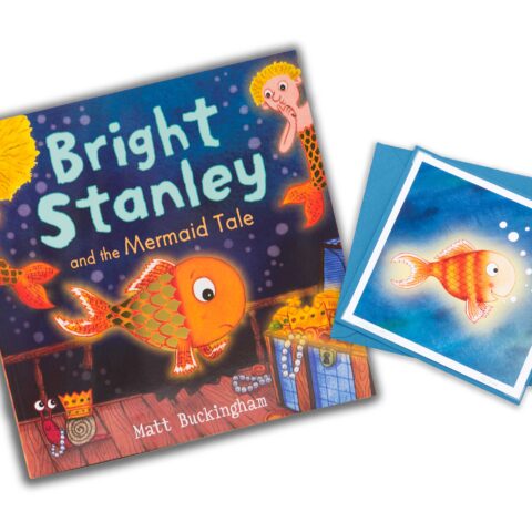 bright Stanley book and card gift set by Matt Buckingham