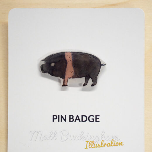 Pig pin badge illustrated by Matt Buckingham