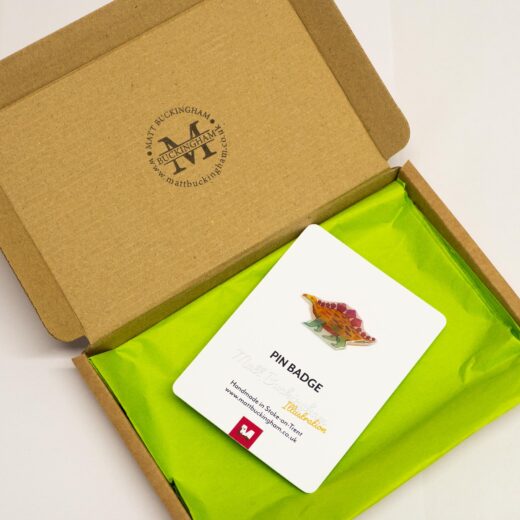 Stegosaurus pin badge by Matt Buckingham