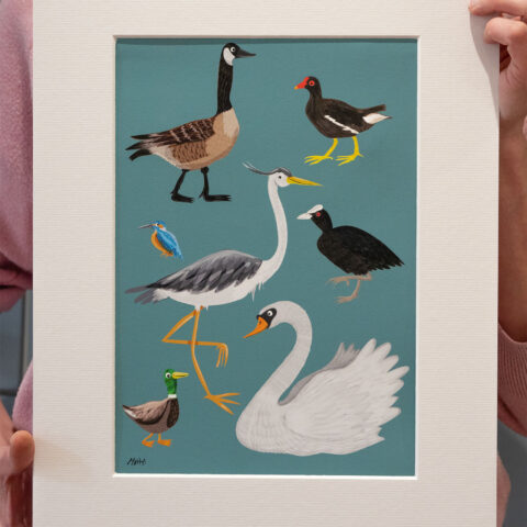 Canal birds artist print by illustrator Matt Buckingham