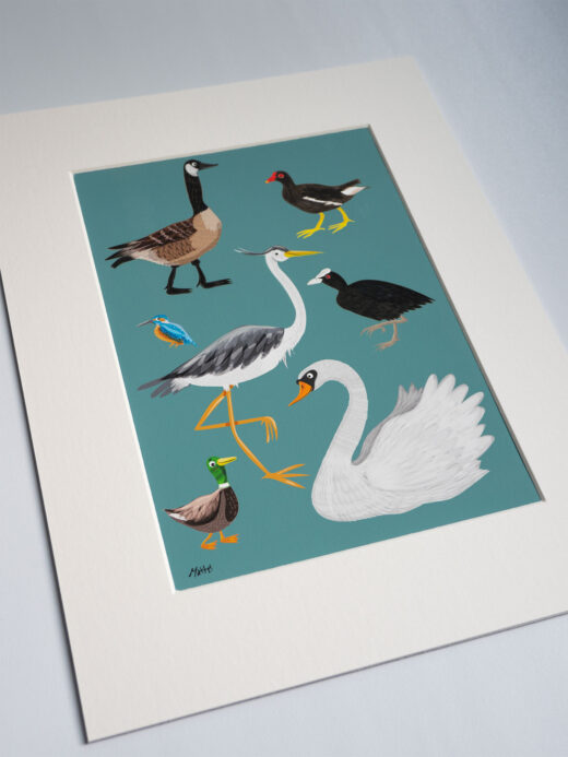 Canal birds artist print by Matt Buckingham