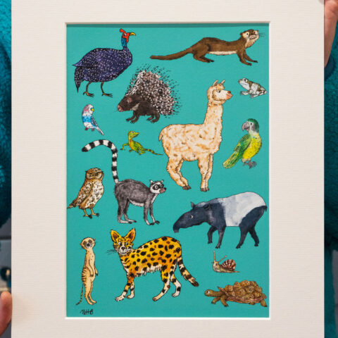 zoo animals artist print by Matt Buckingham