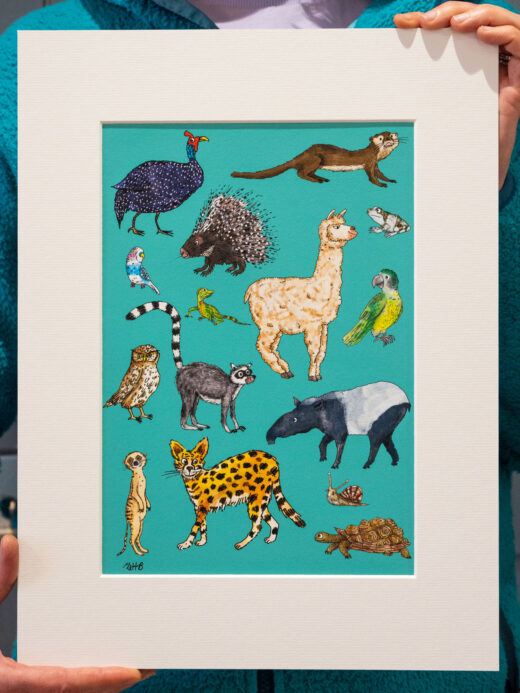 zoo animals artist print by Matt Buckingham