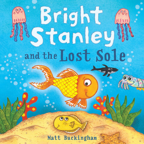 Bright Stanley and the Lost Sole children's book cover