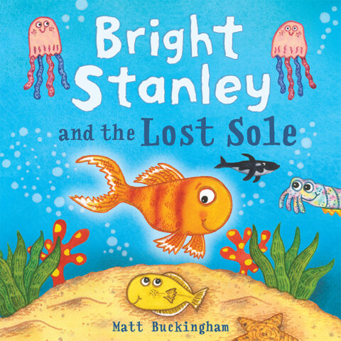 Bright Stanley and the Lost Sole children's book cover